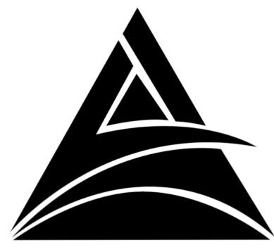 ST Silicones, Inc.